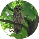 John Vadala profile picture